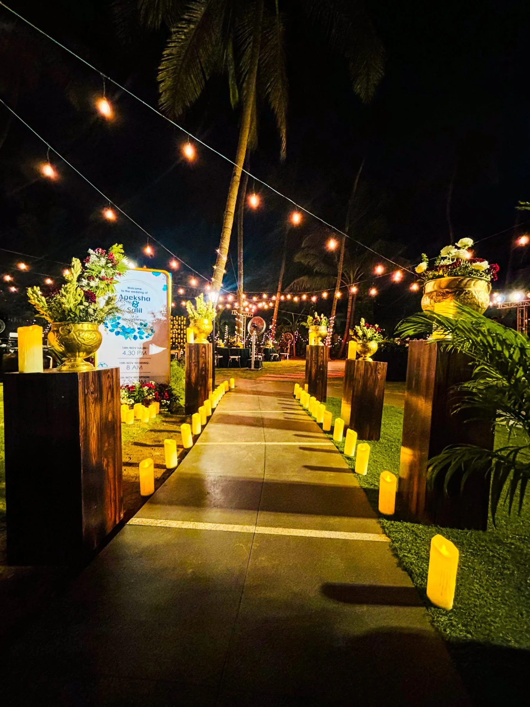 Apeksha & Salil wedding photo 2