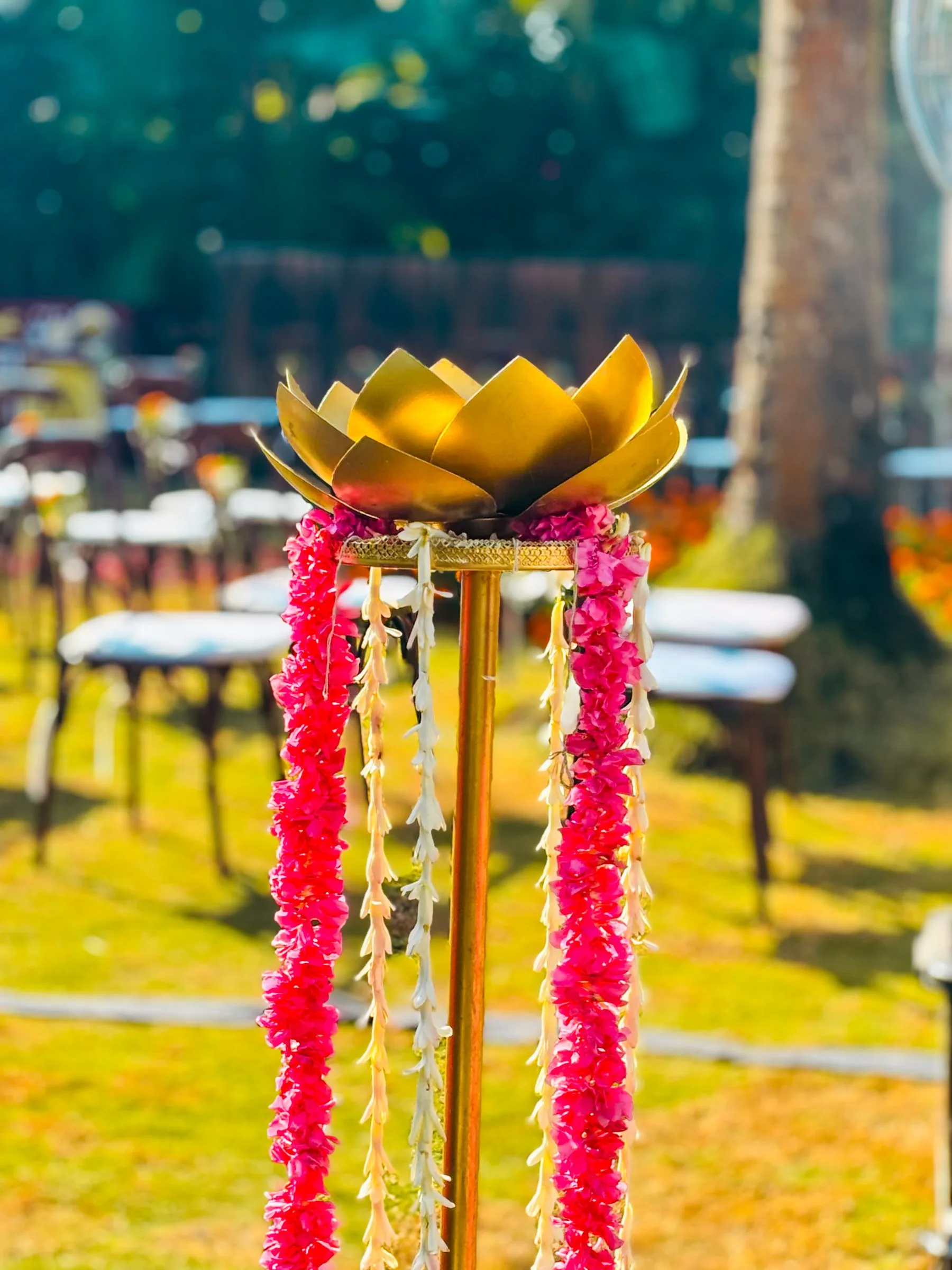 Apeksha & Salil wedding photo 17