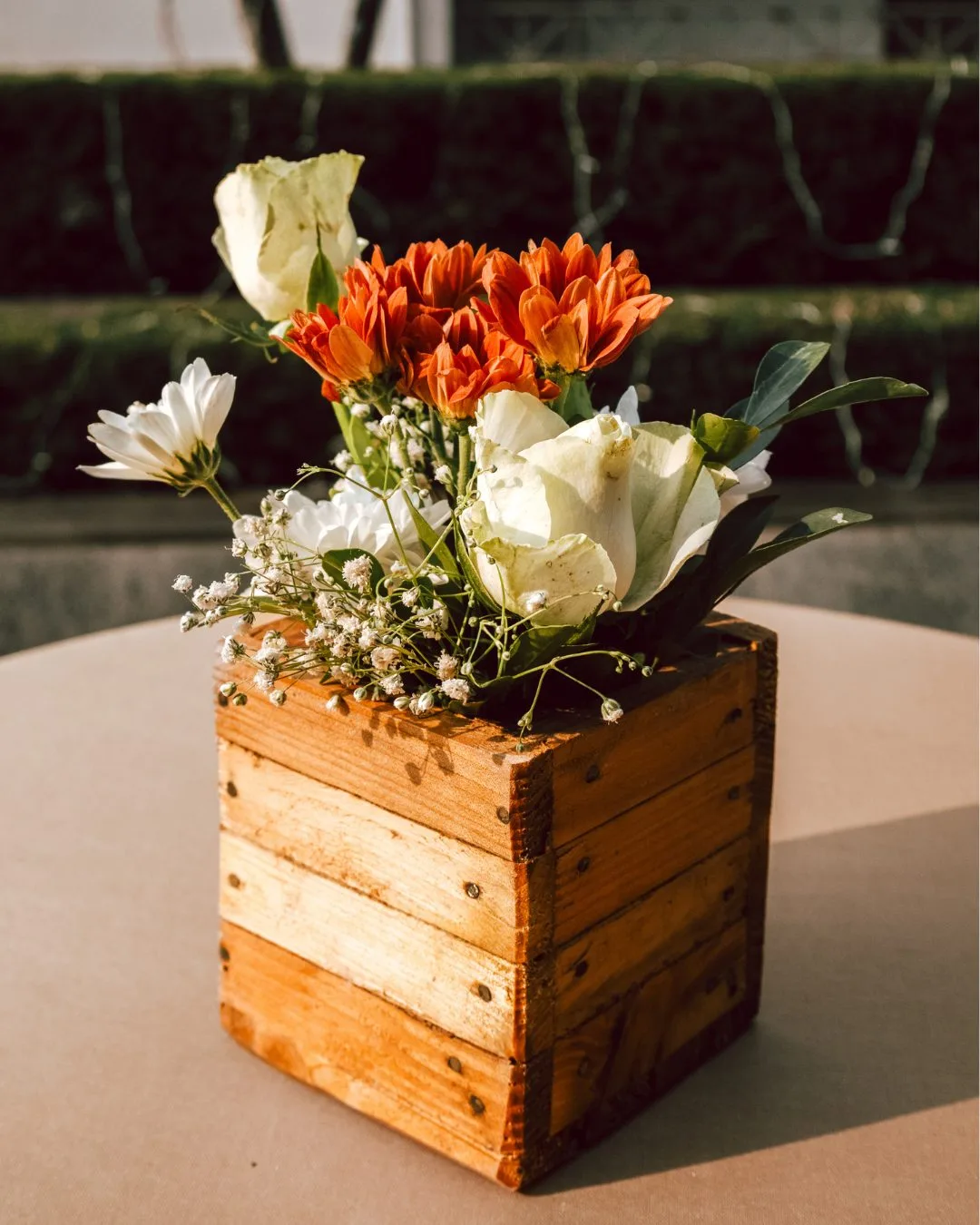 Sabya & Venessa wedding photo 11